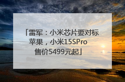 雷军：小米芯片要对标苹果，小米15SPro售价5499元起