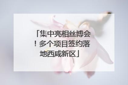 集中亮相丝博会！多个项目签约落地西咸新区