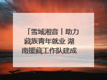 雪域湘音丨助力藏族青年就业 湖南援藏工作队建成西藏首个清洁能源装备园