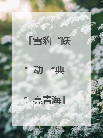 雪豹“跃”动 “典”亮青海