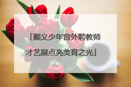 顺义少年宫外聘教师才艺展点亮美育之光