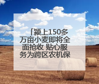 颍上150多万亩小麦即将全面抢收 贴心服务为跨区农机保驾护航