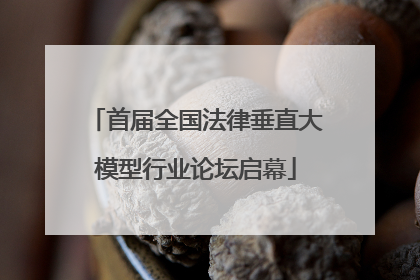 首届全国法律垂直大模型行业论坛启幕
