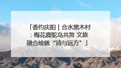 香约庆阳｜合水黑木村：梅花鹿鸵鸟共舞 文旅融合绘就“诗与远方”