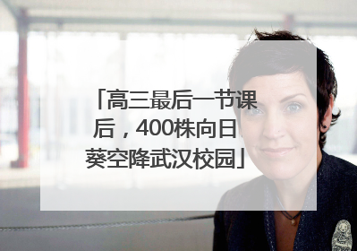 高三最后一节课后，400株向日葵空降武汉校园
