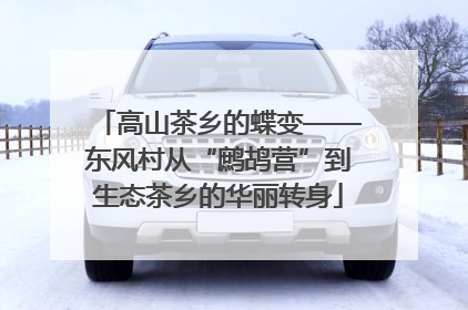 高山茶乡的蝶变——东风村从“鹧鸪营”到生态茶乡的华丽转身
