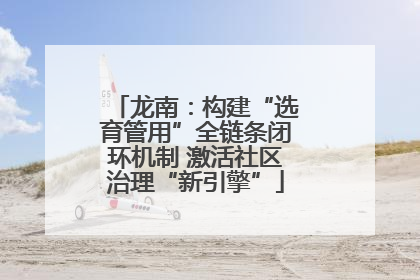 龙南：构建“选育管用”全链条闭环机制 激活社区治理“新引擎”