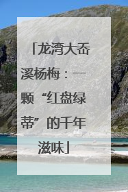 龙湾大岙溪杨梅：一颗“红盘绿蒂”的千年滋味