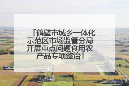 鹤壁市城乡一体化示范区市场监管分局开展重点问题食用农产品专项整治