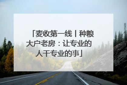 麦收第一线丨种粮大户老房：让专业的人干专业的事