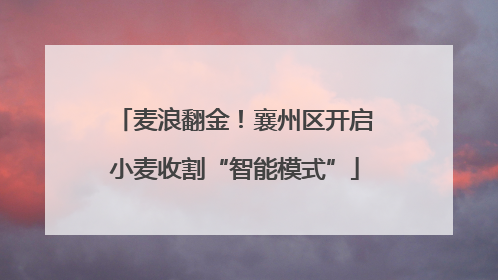 麦浪翻金！襄州区开启小麦收割“智能模式”