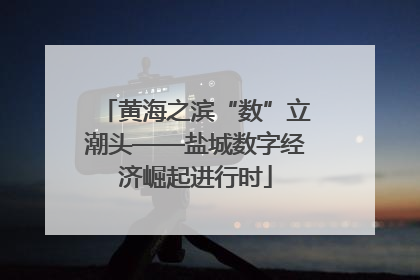 黄海之滨“数”立潮头——盐城数字经济崛起进行时