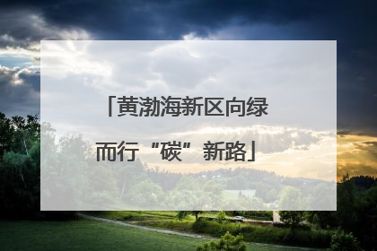 黄渤海新区向绿而行“碳”新路