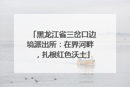 黑龙江省三岔口边境派出所：在界河畔，扎根红色沃土