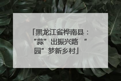 黑龙江省桦南县：“蒜”出振兴路 “园”梦新乡村