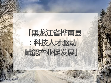 黑龙江省桦南县：科技人才驱动 赋能产业促发展
