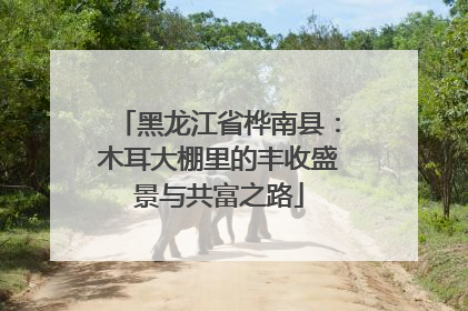 黑龙江省桦南县：木耳大棚里的丰收盛景与共富之路