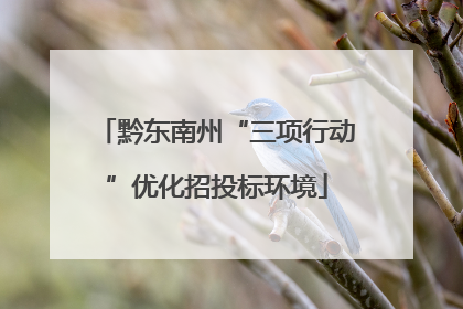黔东南州“三项行动”优化招投标环境