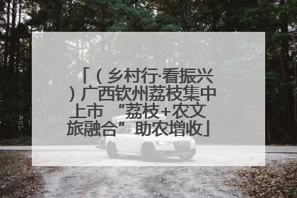 （乡村行·看振兴）广西钦州荔枝集中上市 “荔枝+农文旅融合”助农增收
