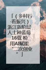 （乡村行·看振兴）浙江新阶层人士种蓝莓16载 盼用AI赋能“二次创业”