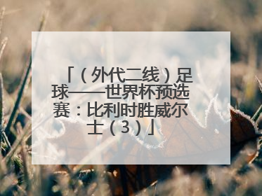 （外代二线）足球——世界杯预选赛：比利时胜威尔士（3）