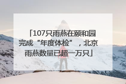 107只雨燕在颐和园完成“年度体检”，北京雨燕数量已超一万只