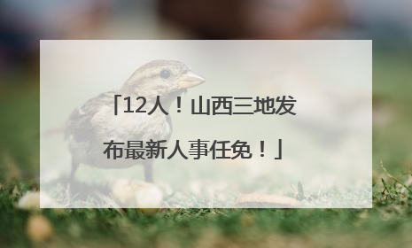 12人！山西三地发布最新人事任免！
