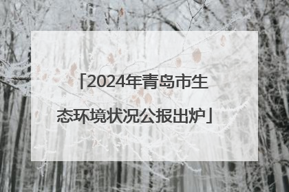 2024年青岛市生态环境状况公报出炉