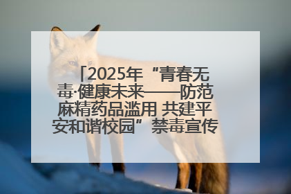 2025年“青春无毒·健康未来——防范麻精药品滥用 共建平安和谐校园”禁毒宣传专题活动在咸宁举行