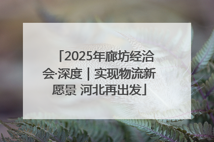 2025年廊坊经洽会·深度｜实现物流新愿景 河北再出发