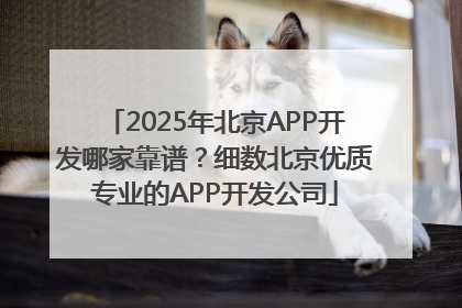 2025年北京APP开发哪家靠谱？细数北京优质专业的APP开发公司