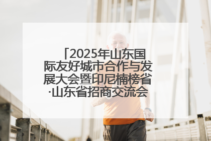 2025年山东国际友好城市合作与发展大会暨印尼楠榜省·山东省招商交流会在济南槐荫举行