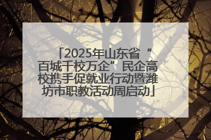 2025年山东省“百城千校万企”民企高校携手促就业行动暨潍坊市职教活动周启动