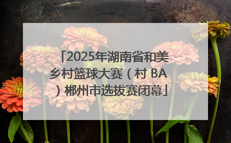 2025年湖南省和美乡村篮球大赛（村 BA）郴州市选拔赛闭幕