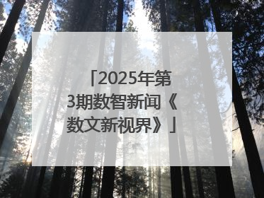 2025年第3期数智新闻《数文新视界》