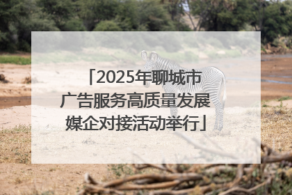 2025年聊城市广告服务高质量发展媒企对接活动举行