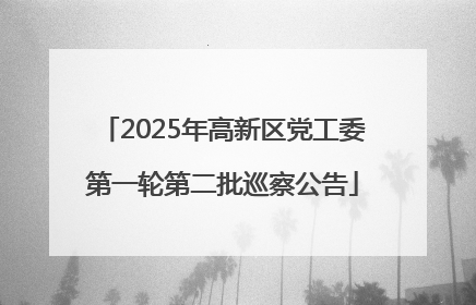 2025年高新区党工委第一轮第二批巡察公告