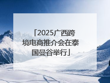 2025广西跨境电商推介会在泰国曼谷举行