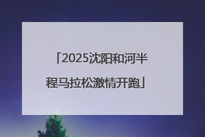 2025沈阳和河半程马拉松激情开跑
