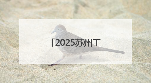 2025苏州工业园区网络文化采风活动圆满举行