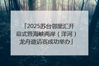 2025苏台邻里汇开幕式暨海峡两岸（洋河）龙舟邀请赛成功举办