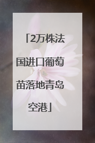 2万株法国进口葡萄苗落地青岛空港