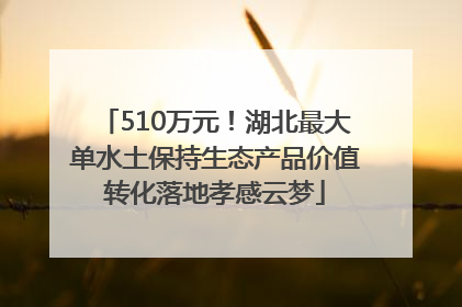 510万元！湖北最大单水土保持生态产品价值转化落地孝感云梦