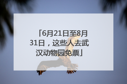 6月21日至8月31日，这些人去武汉动物园免票