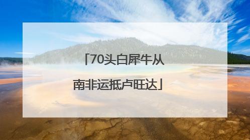 70头白犀牛从南非运抵卢旺达