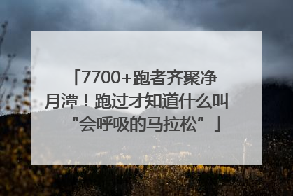 7700+跑者齐聚净月潭！跑过才知道什么叫“会呼吸的马拉松”