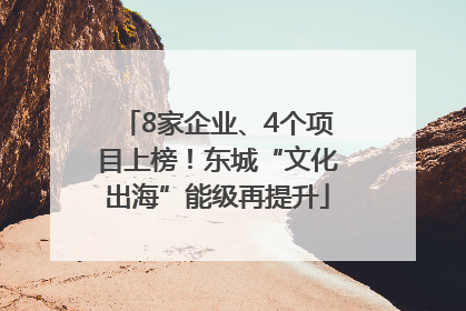 8家企业、4个项目上榜！东城“文化出海”能级再提升