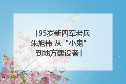 95岁新四军老兵朱旭伟 从“小鬼”到地方建设者