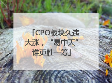 CPO板块久违大涨，“易中天”谁更胜一筹