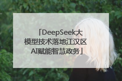 DeepSeek大模型技术落地江汉区 AI赋能智慧政务